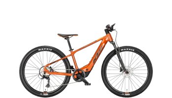 KTM Mini Me